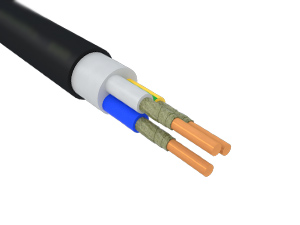 ВВГнг(А)-FRLSLTx 3х10(N, PE) - 1 (Конкорд)